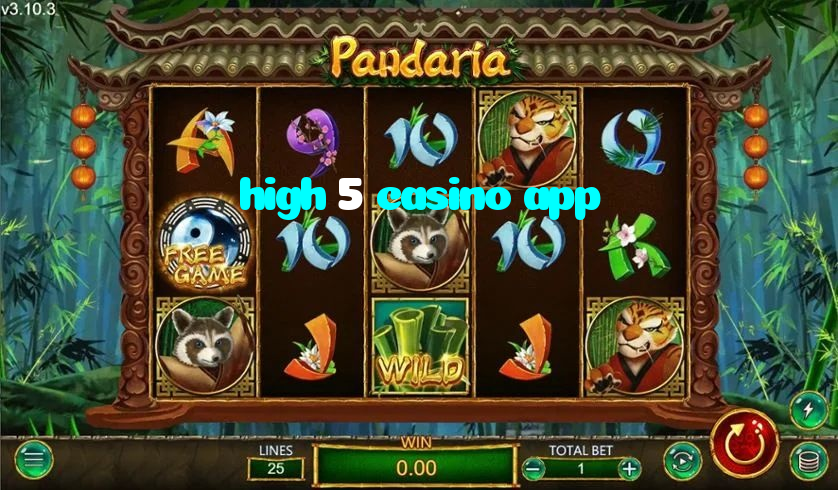 making first deposit on high 5 casino app website using local payment methods in Pakistan
